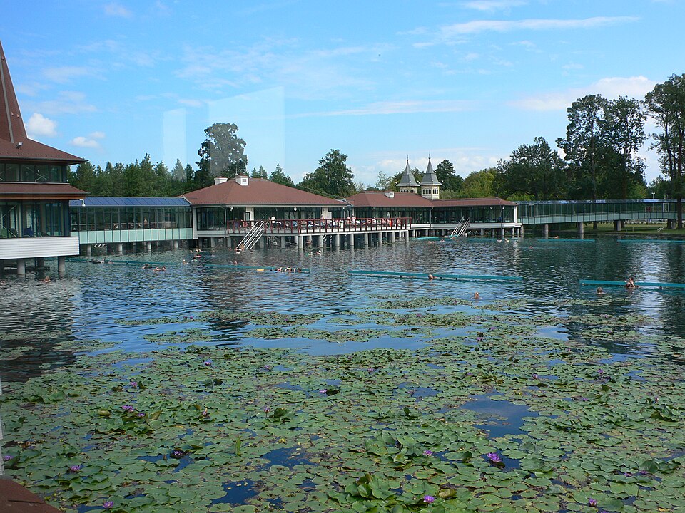 Thermal lake of Hévíz with water lilies